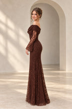 Elegant Lace Sheath Asymmetric Neck Long Sleeve Draped Back Long Wedding Guest Dress