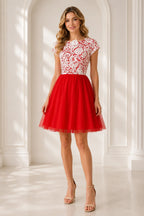 Red Lace Short A Line Tulle Homecoming Dress with Short Sleeves