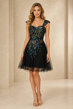 Black Embroidered Homecoming Dress with Short Sleeves and A Line Tulle Skirt
