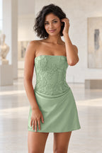 Elegant Fit and Flare Straight Strapless Lace-Up Back Mini Homecoming Dress