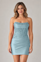 Elegant Sheath Straight Neck Strapless Lace-Up Back Mini Homecoming Dress
