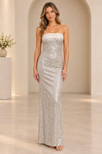 Elegant Column Strapless Sleeveless Beaded Back Floor Length Prom Dress
