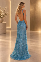 Striking Column V Neck Sleeveless Open Back Long Prom Dress